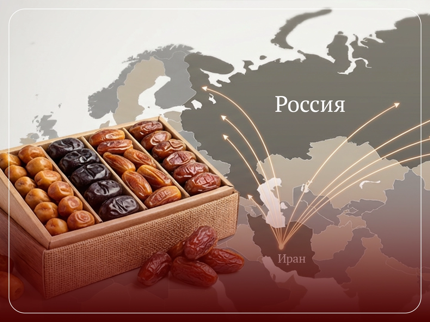Экспорт фиников из Ирана в Россию 