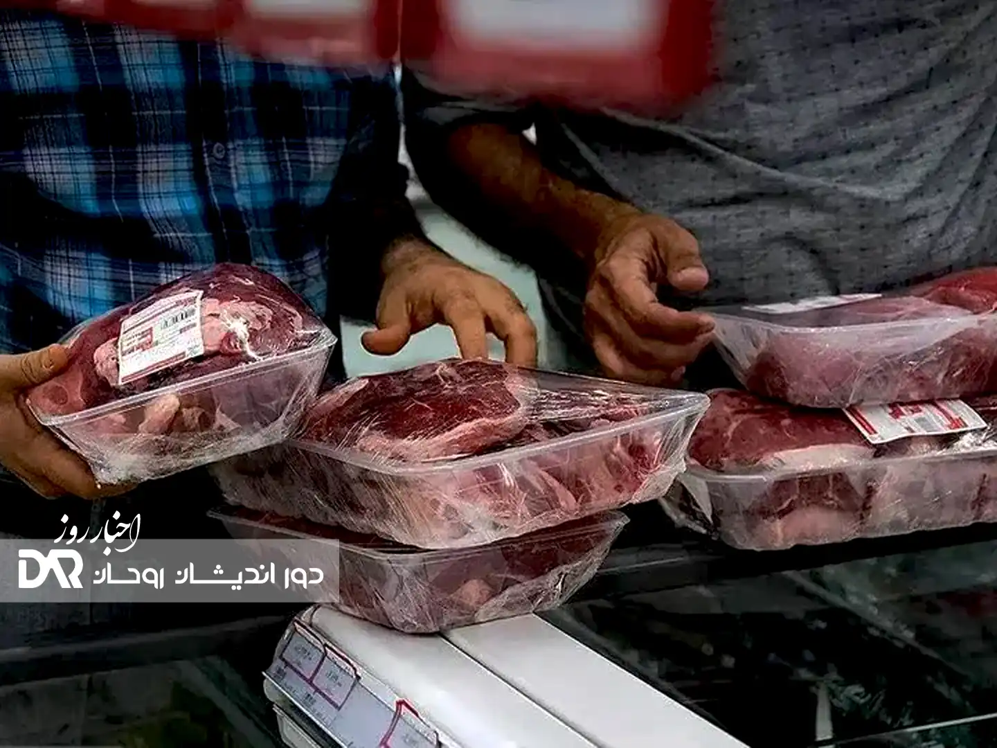 افزایش قیمت مواد خوراکی در مهرماه: از ماهی تا گوشت قرمز